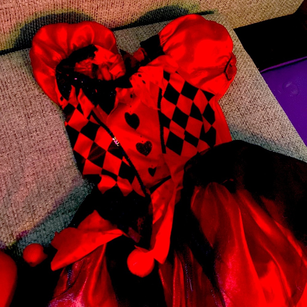 Harley Quinn aka clown costume